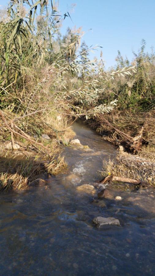 בין הר למעיין Kfar Tavor Exterior foto
