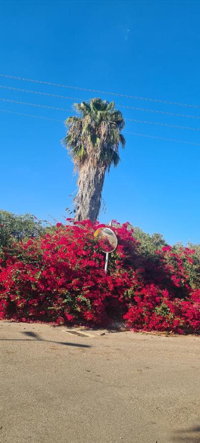 בין הר למעיין Kfar Tavor Exterior foto